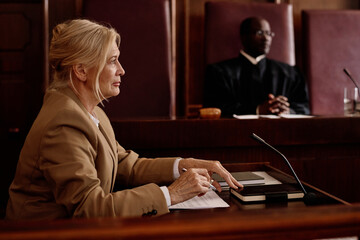 witness in trial court