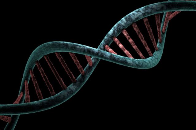 A dna strand with red and blue strips.